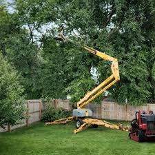 Best Tree Mulching  in Yoncalla, OR