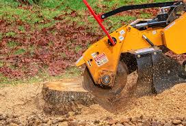 Best Tree Mulching  in Yoncalla, OR